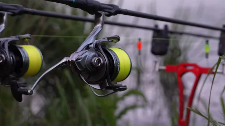 Ловля коропа на яскраві бойли: тактика одиночної насадки в липні