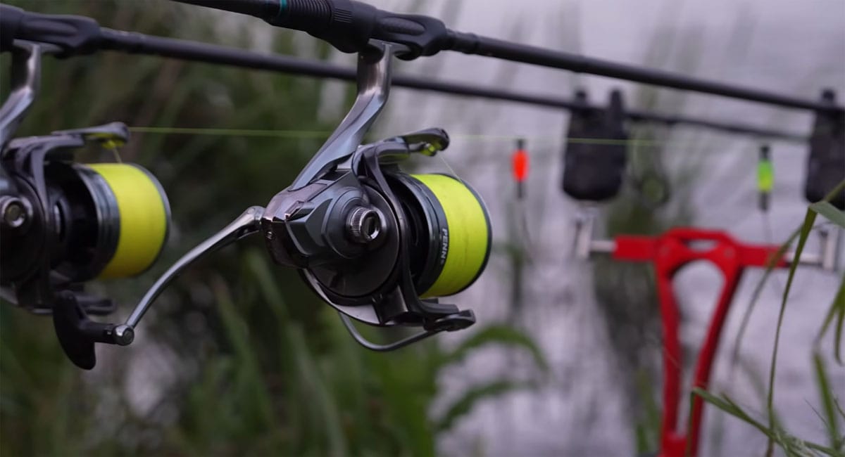 Ловля коропа на яскраві бойли: тактика одиночної насадки в липні