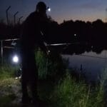 Пошук та приваблювання білого амура на ставку: робоча тактика