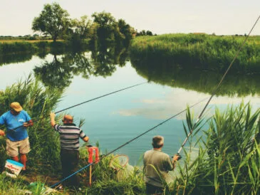 Рибалки в липні повертаються до ловлі плітки на перловку