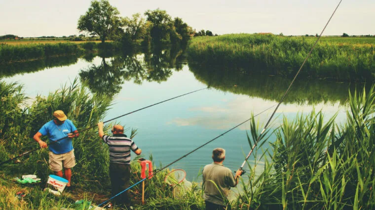 Рибалки в липні повертаються до ловлі плітки на перловку