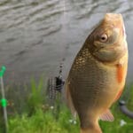 Клев просел? Просто добавьте это в прикормку — эффект заметен через 10 минут