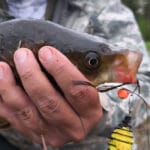 Харьковский рыбак поймал щуку 4 кг и удивил своим поступком