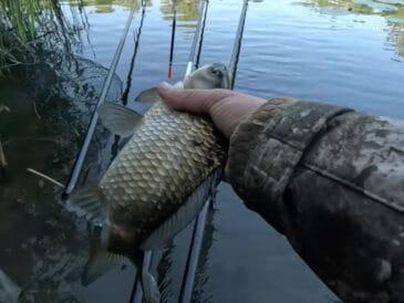 Клев просел? Просто добавьте это в прикормку - эффект заметен через 10 минут