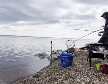 Прогноз клювання риби липень серпень в Україні