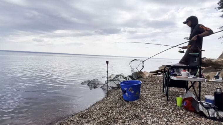 Прогноз клювання риби липень серпень в Україні