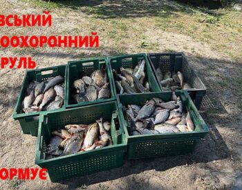 Рибалка на Київському водосховищі завдав збитків на 436 тис. грн