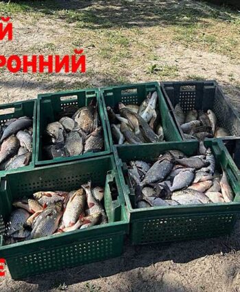 Рибалка на Київському водосховищі завдав збитків на 436 тис. грн