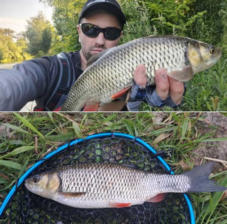 Риболовля на головня в Сумській області