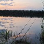 Трофейний короп узятий! Вивчили його нічні маршрути за допомогою нової карти глибин