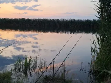 Риболовля на Тернопільщині 2025: де найкраще ловити рибу