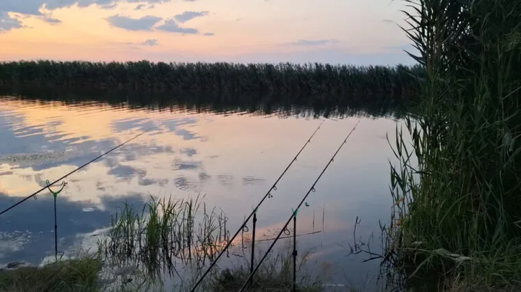 Риболовля на Тернопільщині 2025: де найкраще ловити рибу