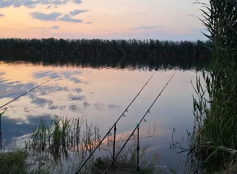 Риболовля на Тернопільщині 2025: де найкраще ловити рибу