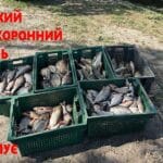 В Винницкой области задержаны браконьеры: ущерб рыбному хозяйству — более 143 тыс. грн