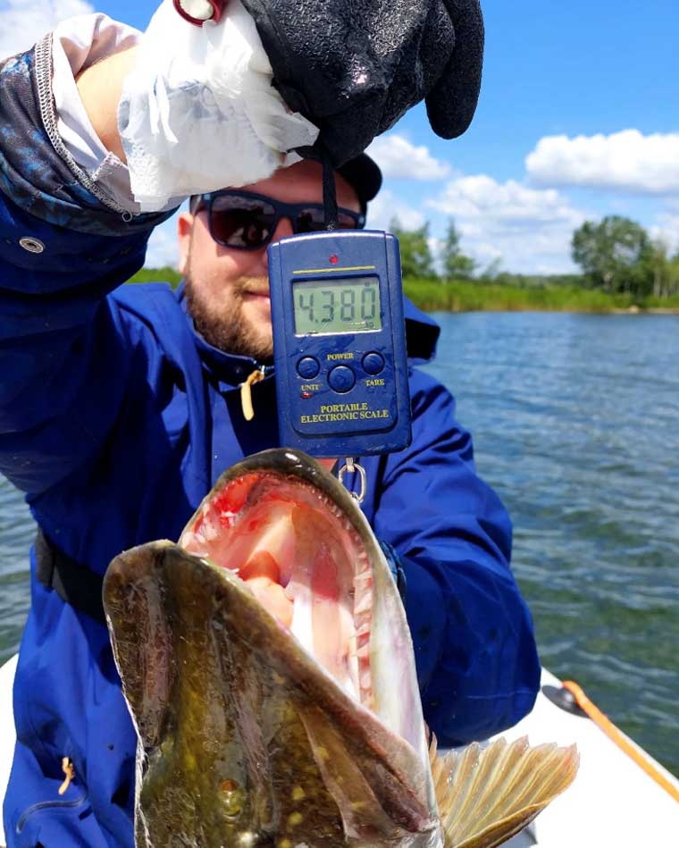Щука весом 4,4 килограмма