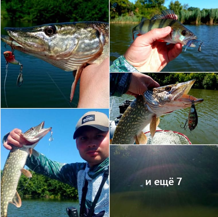 Рыбалка в Сумской области