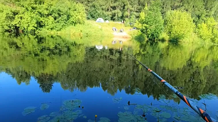 Штраф без риболовлі: за що покарають рибалку у 2025 році