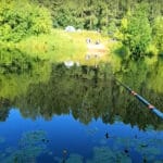 Как успешно ловить щуку в заросших водоемах: тактика и незацепляйки