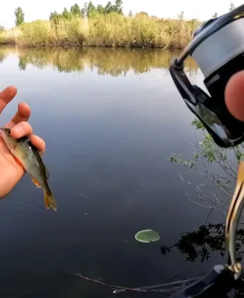 В Україні через спеку набирає популярності спінінговий мормишинг