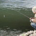 Ловля коропа в коряжнику: як дістати трофей, а не снасть