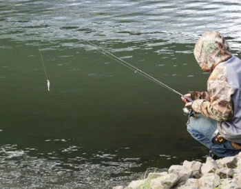 Судак у липні 2025: як змінилася активність на глибині