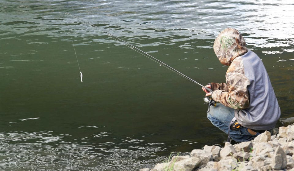 Судак в июле 2025: как изменилась активность на глубине