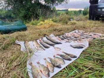 На Вінниччині затримано браконьєрів: збиток 143 тис. грн