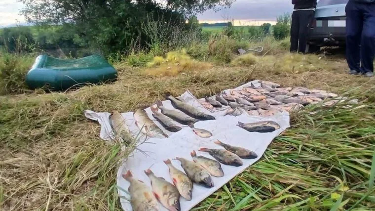 На Вінниччині затримано браконьєрів: збиток 143 тис. грн