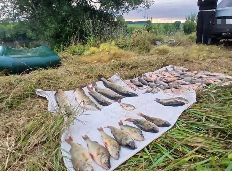 На Вінниччині затримано браконьєрів: збиток 143 тис. грн