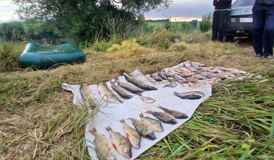 На Вінниччині затримано браконьєрів: збиток 143 тис. грн
