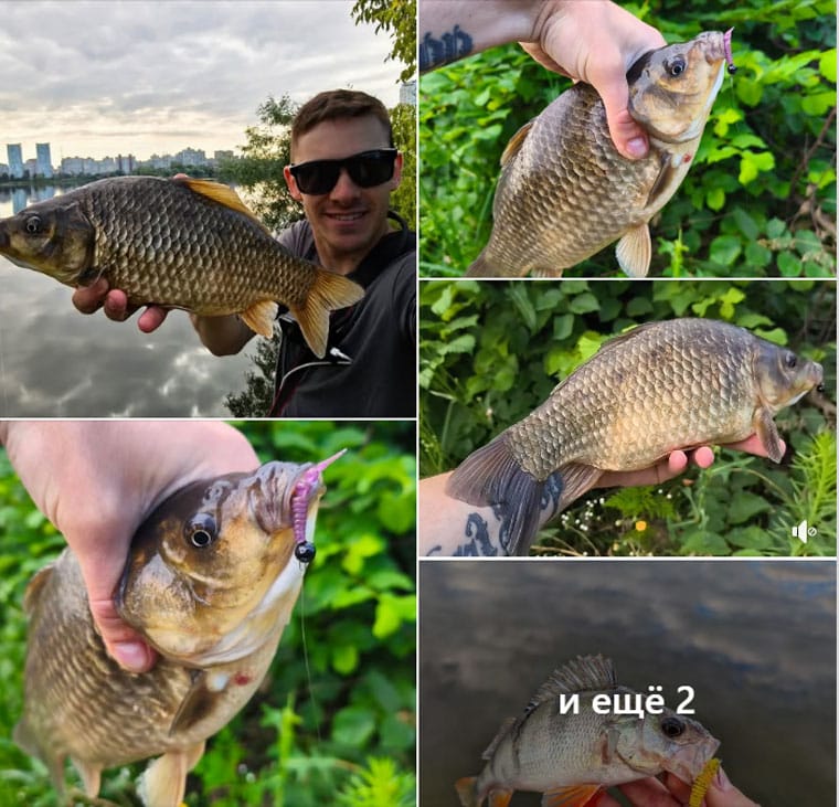Киевский рыболов поймал в Киеве карася весом 600 грамм
