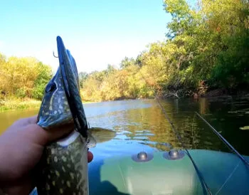 Осіння риболовля 2025: де шукати хижака на Полтавщині