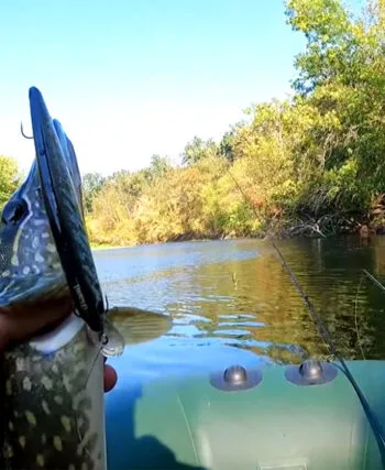 Осіння риболовля 2025: де шукати хижака на Полтавщині