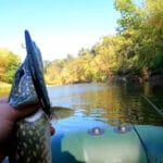 В конце августа рыболовам рекомендуют переходить на осеннюю прикормку для карпа