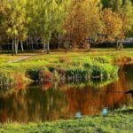 Короп не клює? Постав інлайн-оснастку – і приманка ляже як треба