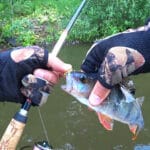 Ловля щуки влітку: снасті, техніка та поради