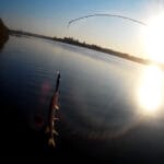 Тесто для рыбалки на плотву: два рецепта, которые выручат, когда рыба капризничает