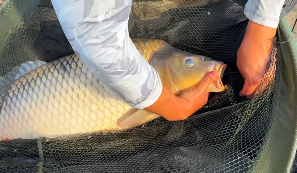 Карпфишинг: 7 рабочих лайфхаков, которые не подводили