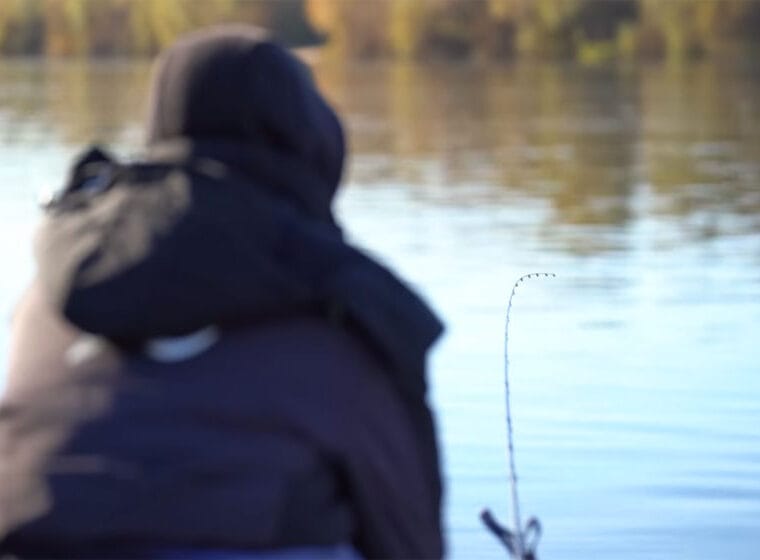 Темповая ловля плотвы на фидер: советы эксперта перед осенью