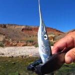 Календарь рыбака на сентябрь 2025: когда и где клюет