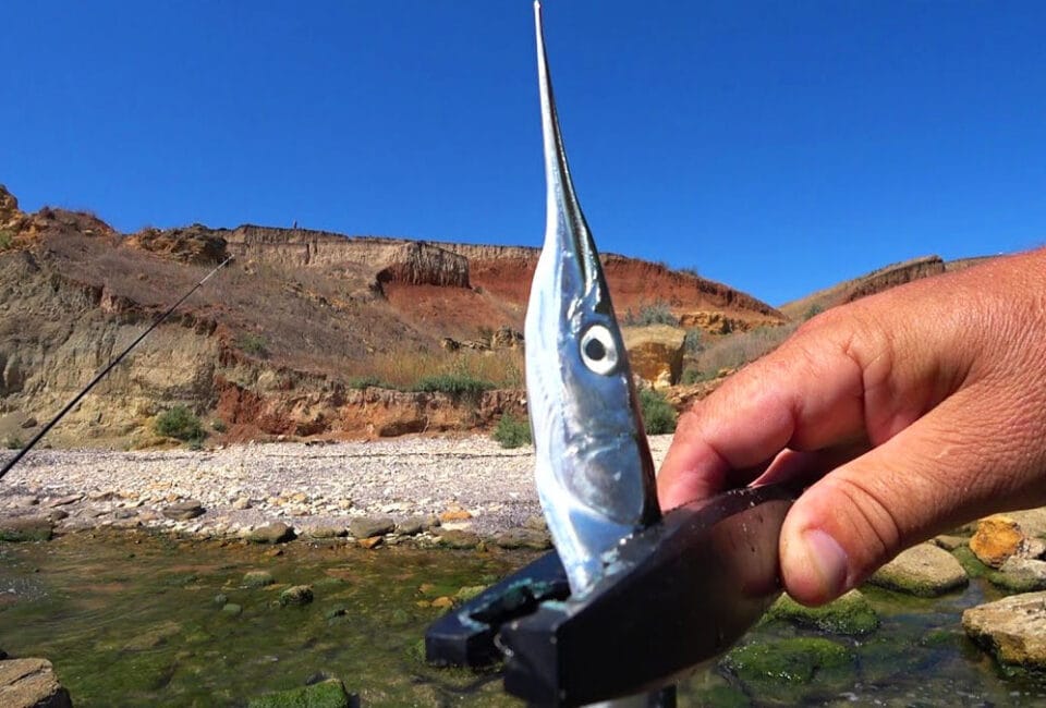 Морская рыбалка: как поймать саргана на пилкер в Одессе