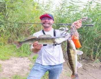 Рибалка показав ефективну тактику ловлі судака на спінінг (Відео)