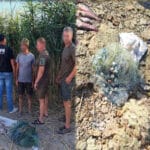 Карась вечером: 5 главных отличий от дневной рыбалки, которые нужно знать