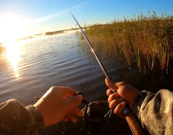 В Україні рибалкам нагадали про осінні заборони і штрафи