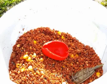 Рибалка розкрив секрет уловистої прикормки для коропа