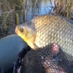 Рыбак раскрыл секрет ловли судака и щуки в мутной воде (Видео)