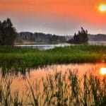 Карп не клюет? Поставь инлайн-оснастку — и приманка ляжет как надо