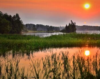 Прогноз клева рыбы в Украине на неделю: 25 – 31 августа 2025