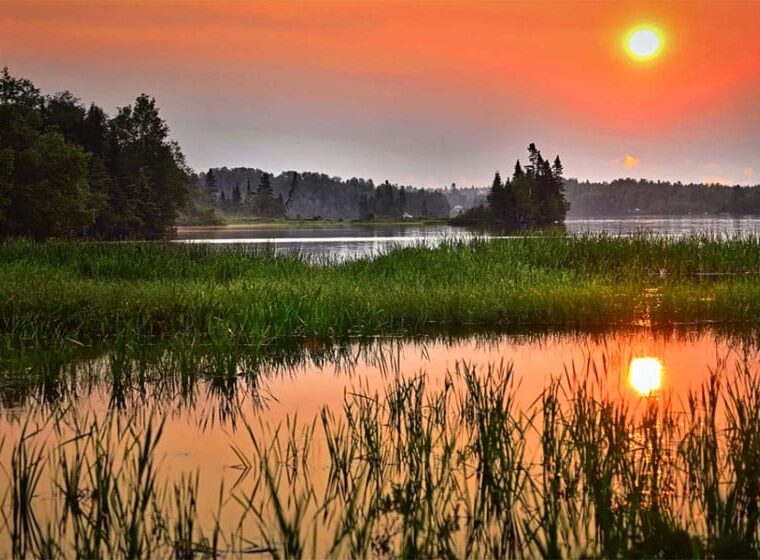 Прогноз клева рыбы в Украине на неделю: 25 – 31 августа 2025