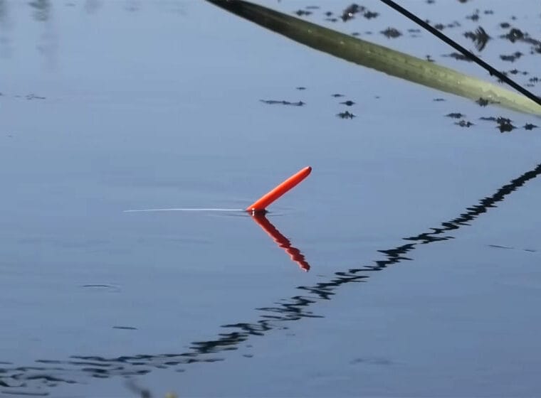 Прогноз клева рыбы в Украине 11-17 августа 2025